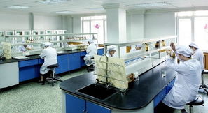 豪華賽皇宮，藥價為何高？——透視哈藥六廠事件中的網(wǎng)絡技術與輿論影響