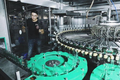 奉賢三寶煥新篇 火山荔枝、黃桃與桂花酒釀的汽水電商之旅